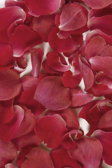 Image showing red rose petals background