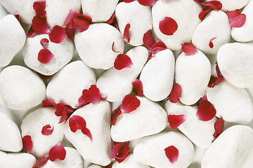 Image showing red rosse petals on white pebbles