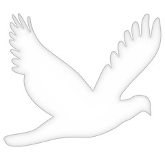 Image showing 3D Dove