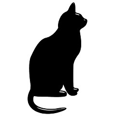 Image showing 3D Black Cat