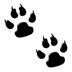 Image showing 3D Dog Foot Prints