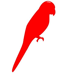 Image showing 3D Parrot