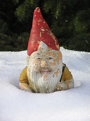 Image showing garden gnome