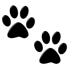 Image showing 3D Cat Foot Prints