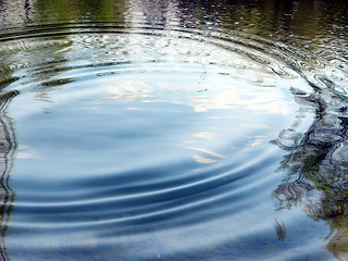 Image showing Water