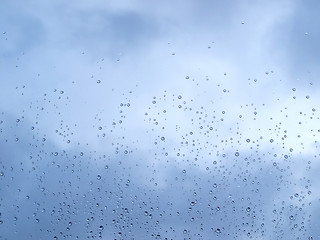 Image showing Rain droplets