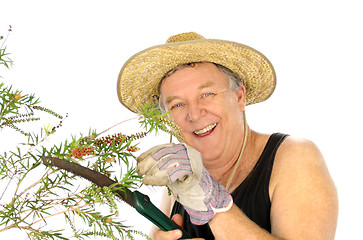 Image showing Sawing Gardener