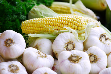 Image showing Corn and garlic