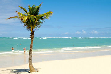 Image showing Exotic beach