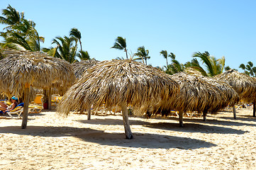 Image showing Parasols on beach