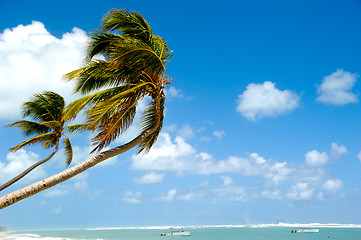 Image showing Tropical beach