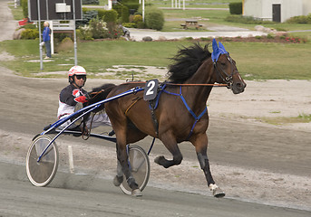 Image showing Trotting race