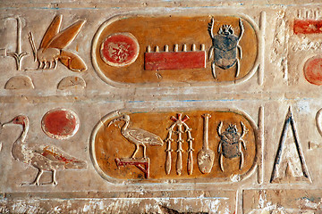 Image showing Egyptian Kartush hieroglyphics
