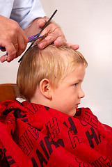 Image showing Boy at the hairdresser