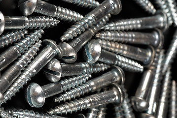 Image showing Screws