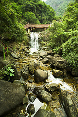 Image showing bridge in forest