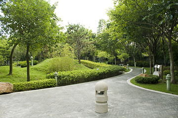 Image showing chinese garden