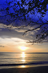 Image showing White sandy beach 