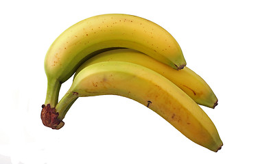 Image showing Bunch of bananas 