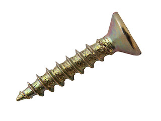 Image showing Chrome wood  screw.