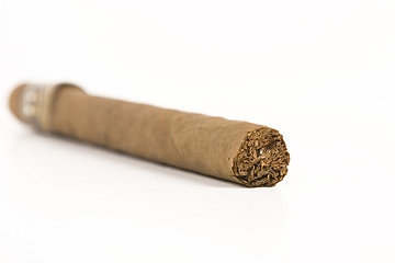 Image showing havana brown cigar