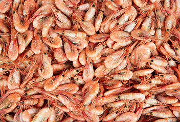 Image showing New boiled shrimps