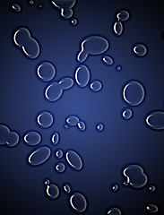 Image showing drops