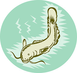 Image showing Catfish swimming underwater