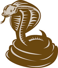 Image showing king cobra  snake