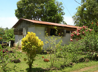 Image showing typical house corn island nicaragua central america
