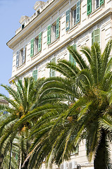 Image showing typical architecture ajaccio corsica island france