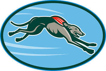 Image showing Greyhound racing and jumping