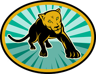 Image showing lion or cougar