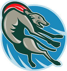 Image showing Greyhound racing and jumping
