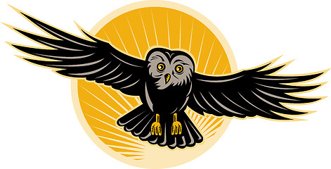 Image showing owl