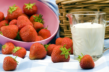 Image showing Strawberry Picnic