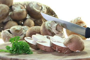 Image showing Mushrooms