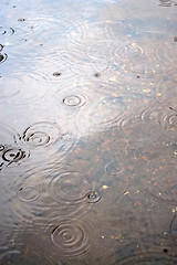 Image showing Raindrop Water Ripples