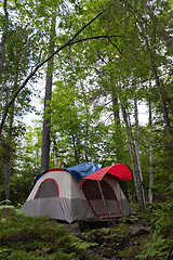 Image showing Forest Tent Camping 