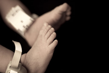 Image showing Newborn Baby Feet