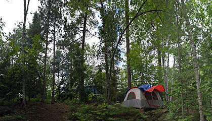 Image showing Forest Tent Camping 