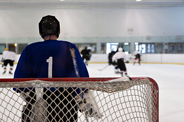 Image showing Hockey Goalie