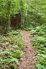 Image showing Old Outhouse in the Woods