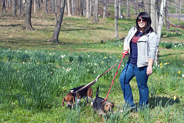 Image showing Woman Walking Her Dogs