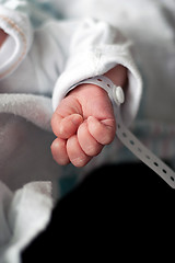 Image showing Newborn Baby Hand