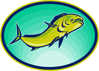 Image showing dolphin fish or mahi mahi