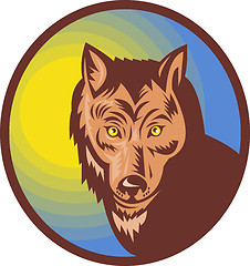 Image showing Wolf or wild dog