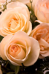 Image showing Bridal Roses