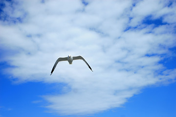 Image showing Blue sky