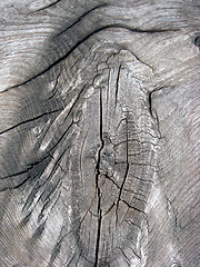Image showing Texture of fence weathered wood